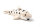 Cornelissen - Kuscheltier - Leopardenhai - 31 cm