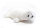 Cornelissen - Kuscheltier - Sattelrobbe - 22 cm