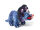 Cornelissen - Kuscheltier - Triceratops blau - 25 cm