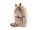 Cornelissen - Kuscheltier - Eule - 20 cm