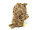 Cornelissen - Kuscheltier - Eule mit Glubschaugen - 20 cm