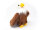 Cornelissen - Kuscheltier - Weißkopfseeadler - 19 cm