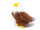 Cornelissen - Kuscheltier - Weißkopfseeadler - 19 cm