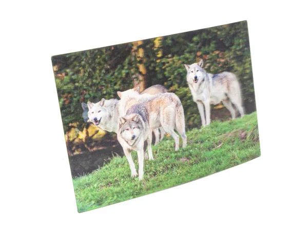 3D Postkarte Wolfsrudel