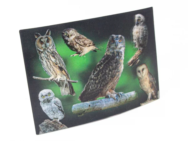 3D Postkarte Eulen