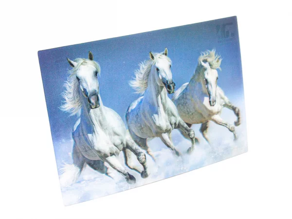 3D Postkarte Pferde weiss