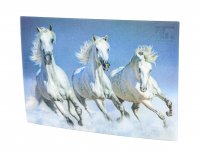 3D Postkarte Pferde weiss