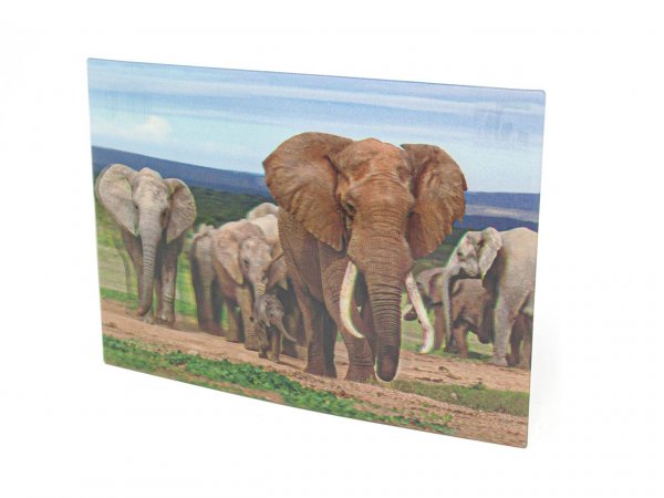 3D Postkarte Elefanten Familie