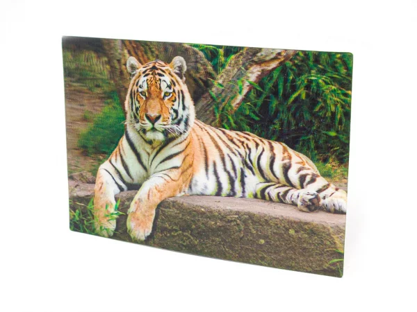 3D Postkarte Tiger