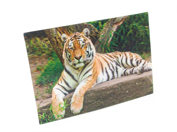 3D Postkarte Tiger