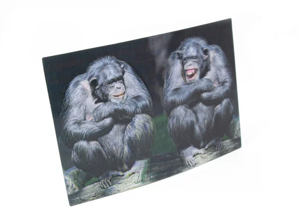 3D Postkarte Schimpansen