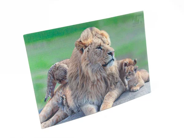 3D Postkarte Löwen Familie