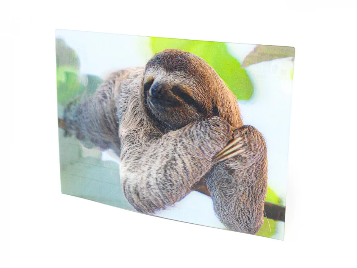 3D Postkarte Faultier