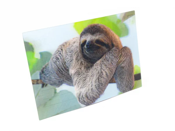 3D Postkarte Faultier