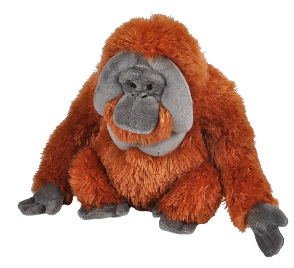Orang-Utan - Kuscheltier - Wild Republic - Cuddlekins