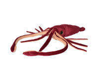 Wild Republic - Kuscheltier - Plush - Riesenkalmar