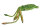 Wild Republic - Kuscheltier - Plush Print - Tintenfisch grün