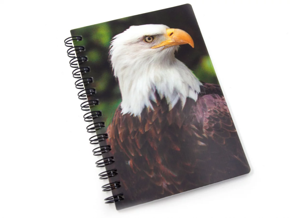 3D Notizbuch - Weißkopfseeadler - klein