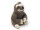 Nature Planet - Kuscheltier - Re-PETs M - Faultier