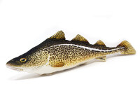 GABY fish pillows - Kissen - Dorsch - 32 cm