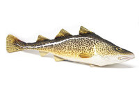 GABY fish pillows - Kissen - Dorsch - 32 cm