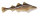 GABY fish pillows - Kissen - Dorsch - 32 cm