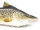 GABY fish pillows - Kissen - Dorsch - 32 cm