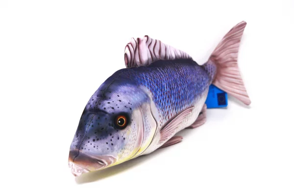 GABY fish pillows - Kissen - Zahnbrasse - 43 cm