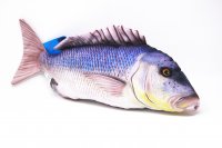 GABY fish pillows - Kissen - Zahnbrasse - 43 cm