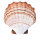 GABY fish pillows - Kissen - Jakobsmuschel orange - 40 cm