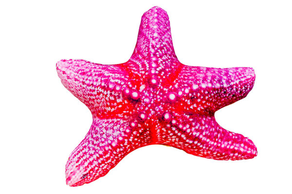 GABY fish pillows - Kissen - Seestern - 50 cm