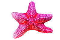 GABY fish pillows - Kissen - Seestern - 50 cm