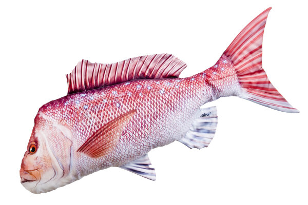 GABY fish pillows - Kissen - Schnapper - 100 cm