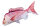 GABY fish pillows - Kissen - Schnapper - 100 cm