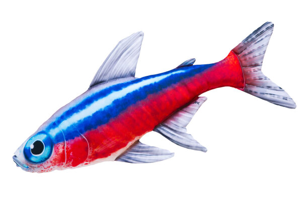 GABY fish pillows - Kissen - Neonfisch - 50 cm