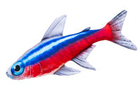 GABY fish pillows - Kissen - Neonfisch - 50 cm