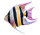 GABY fish pillows - Kissen - Kaiserfisch - 50 cm