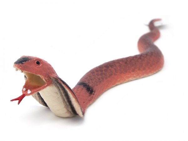 RealStretch-Schlange - Rote Kobra