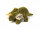 Cornelissen - Kuscheltier -  Dino Triceratops L 27 cm